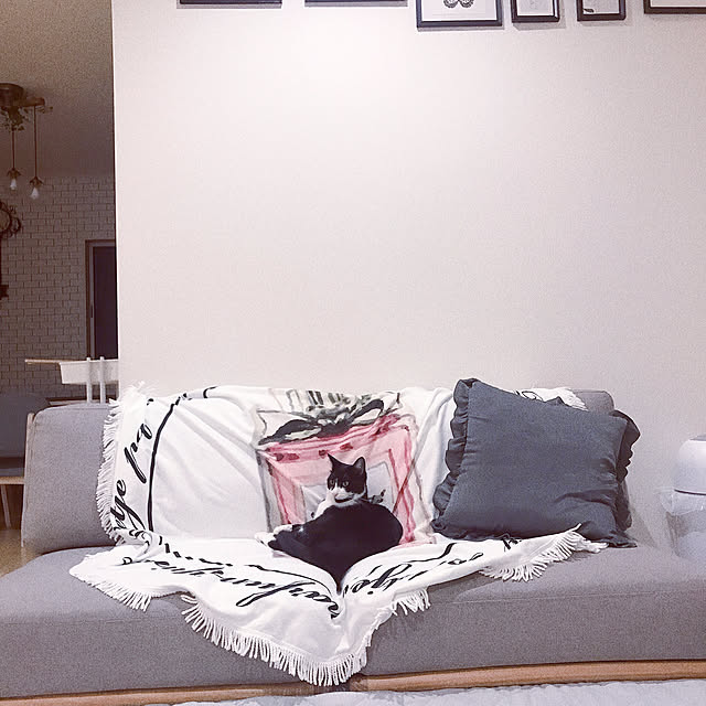 Amelieさんの実例写真