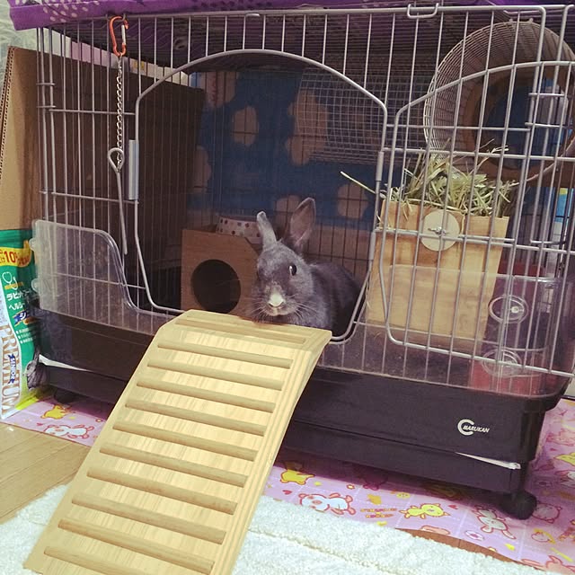 meeeeeeeeeiさんの実例写真
