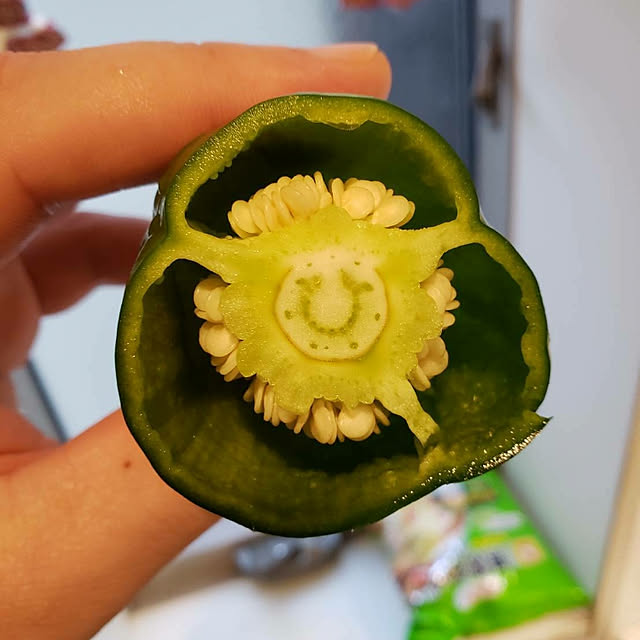 実例写真