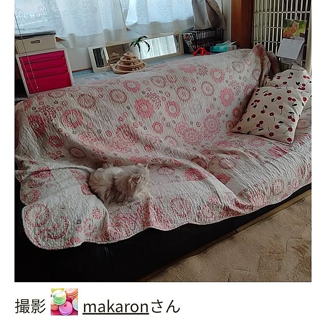 makaronさんの実例写真