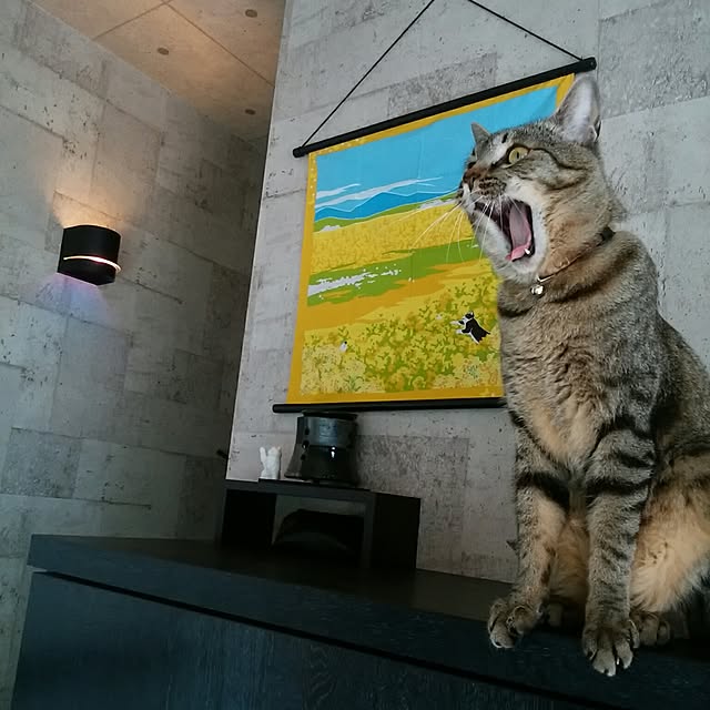 nenekoさんの実例写真