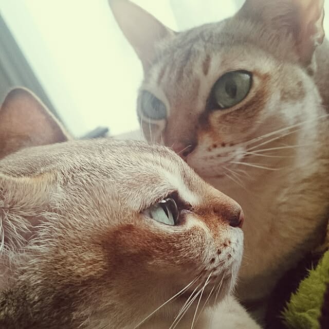 Jcさんの実例写真