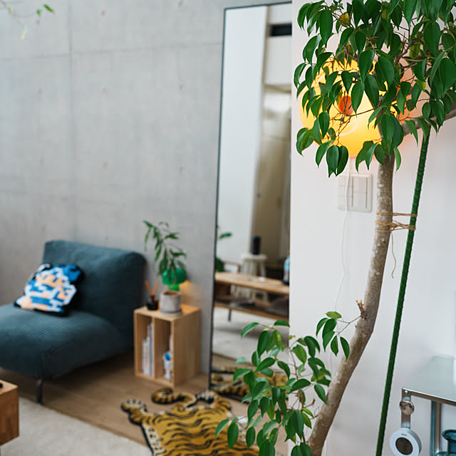 bassa_さんの実例写真