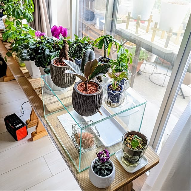 mi-saさんの部屋