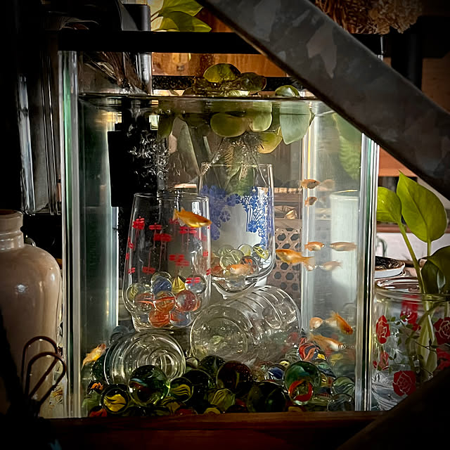 marusanさんの部屋