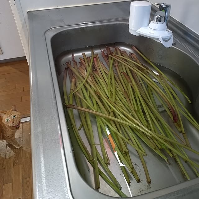 NOAHさんの部屋