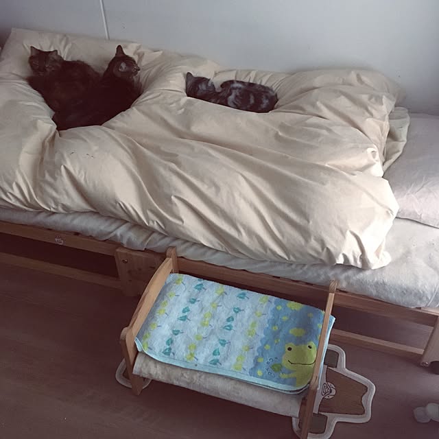 mikomaruさんの実例写真