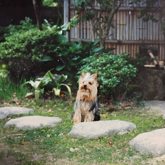 kakoさんの実例写真