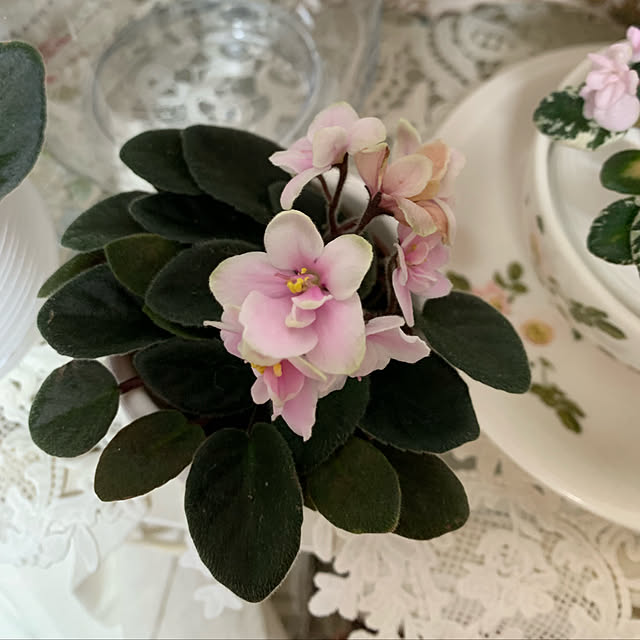 AYUKOさんの実例写真