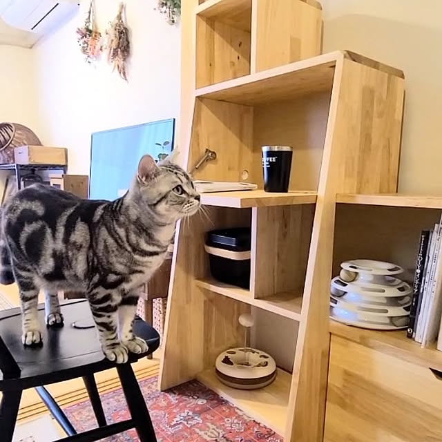 lovepeaceさんの実例写真
