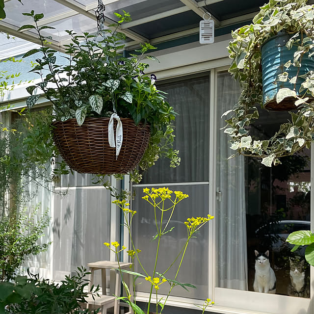 nobikoさんの部屋