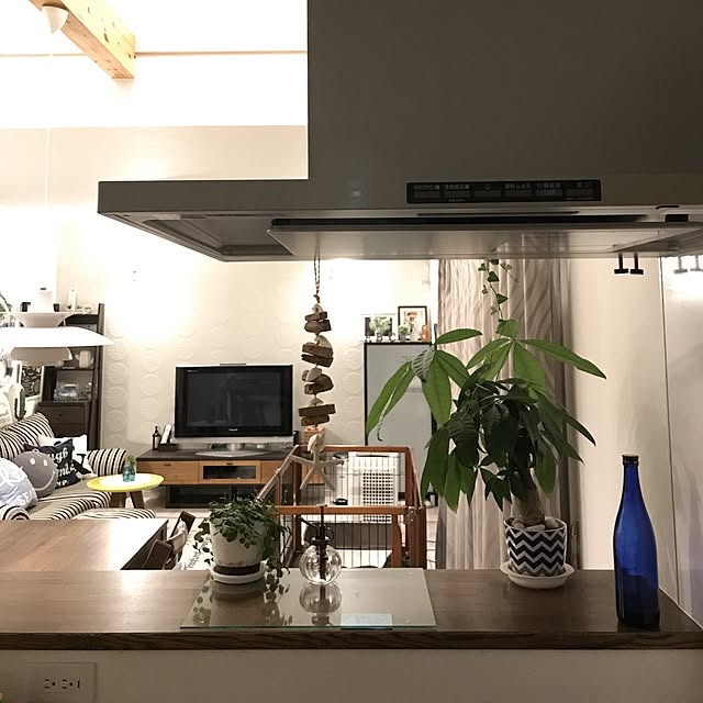 Saorinさんの実例写真