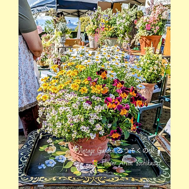ElegantiqueFlowerさんの部屋