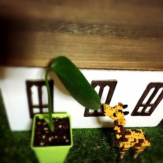 c.mさんの実例写真