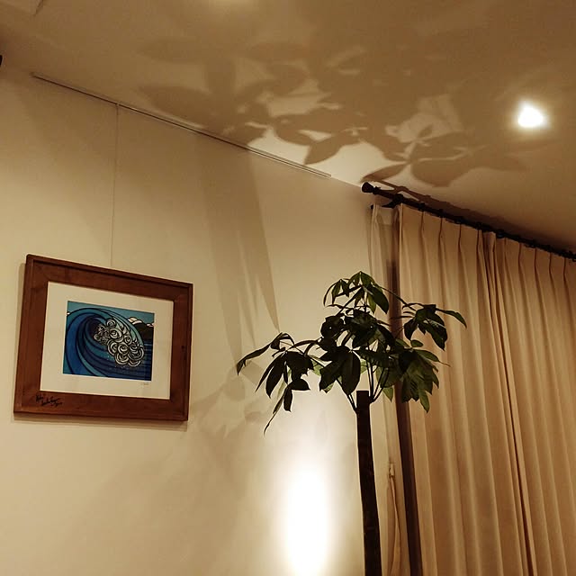 壁/天井のインテリア実例 - 2017-06-10 22:12:46