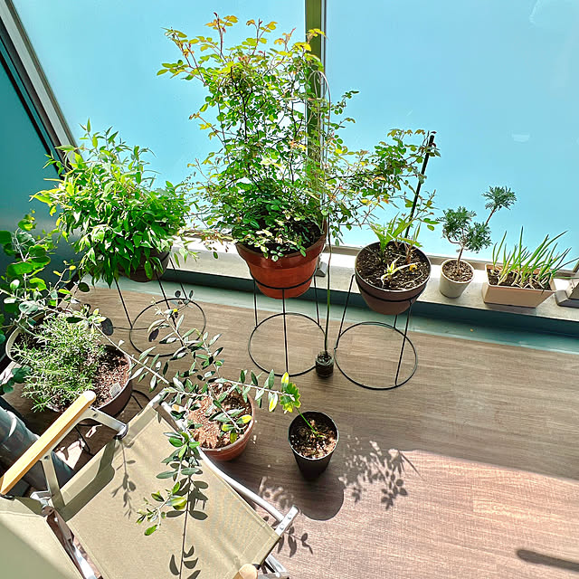 ponme33さんの部屋