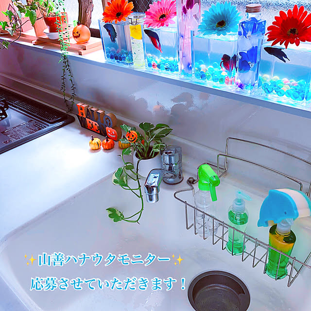 koyuriさんの実例写真