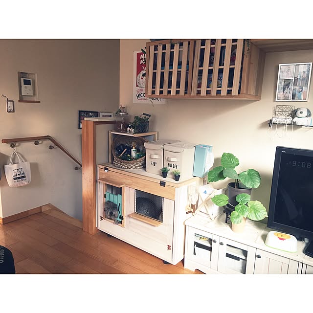makoriさんの実例写真
