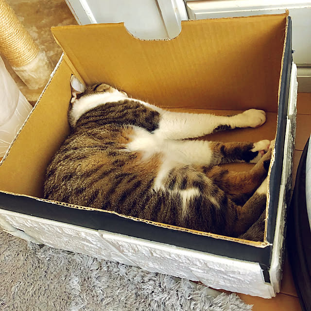 nnmmさんの実例写真