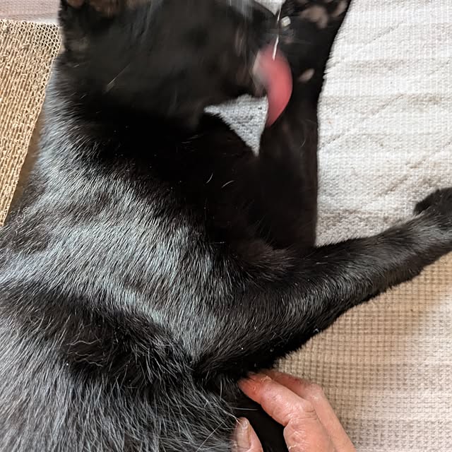 asaさんの部屋