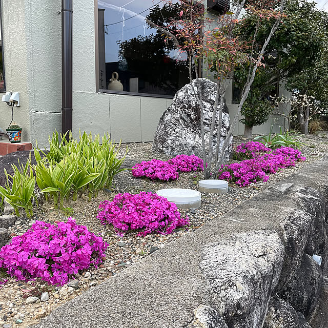 shin0719さんの部屋