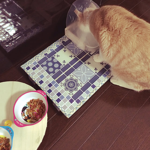 Fumiさんの実例写真