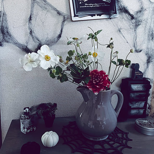 salut!(サリュ) ライフスタイル 【Old garden house】両開き