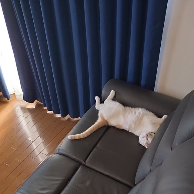 NOAHさんの部屋