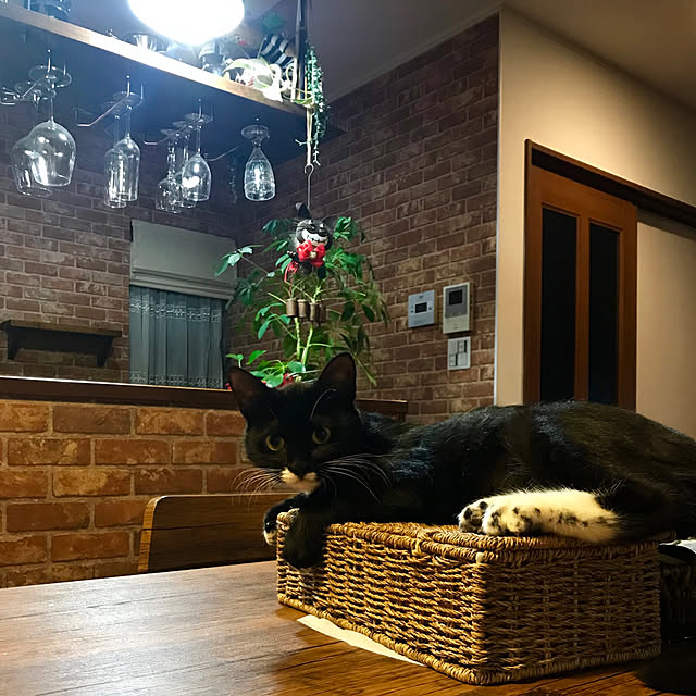 butachanさんの実例写真
