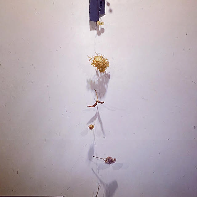 keikoさんの部屋