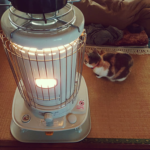 fukuさんの実例写真