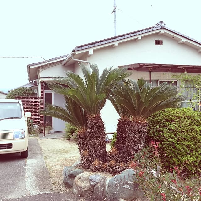 pino117さんの実例写真