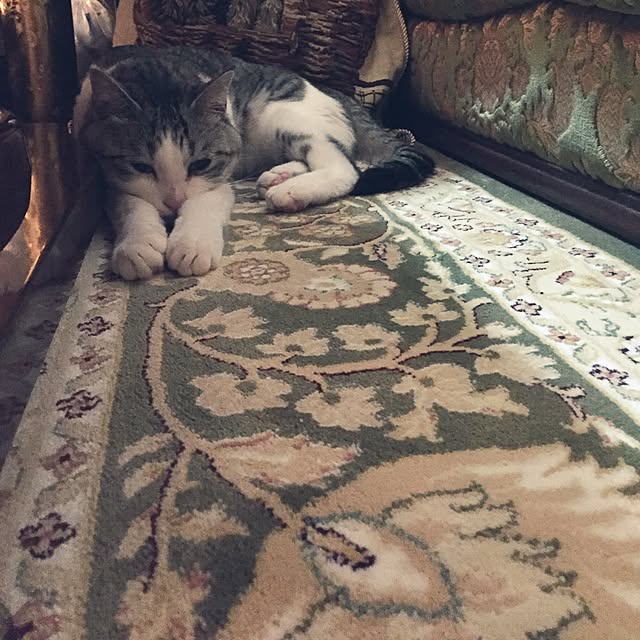 emmyyさんの実例写真