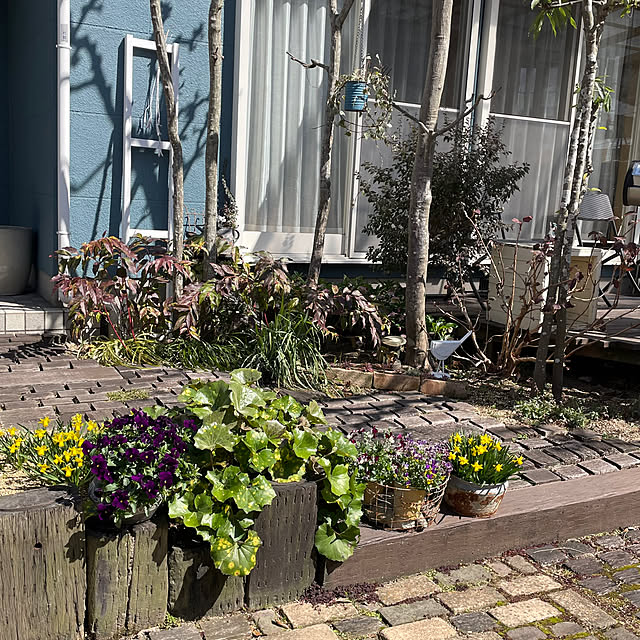 nobikoさんの部屋