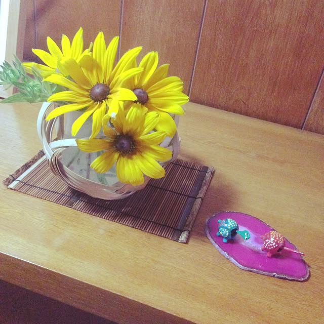 moguさんの実例写真