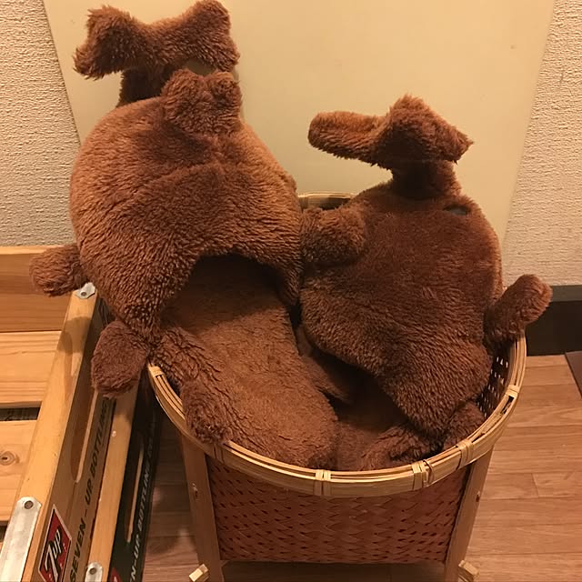 mayukiさんの実例写真