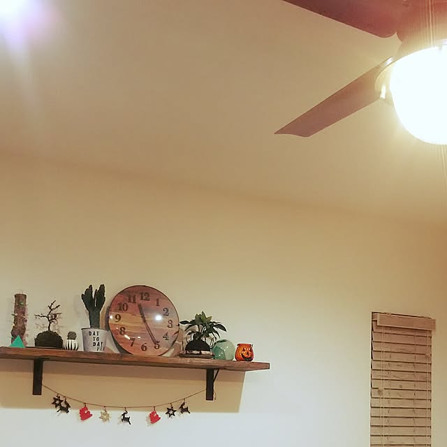 リビング/DIYのインテリア実例 - 2016-11-08 23:33:22