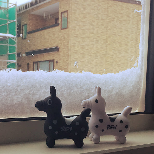 hiyoriさんの実例写真