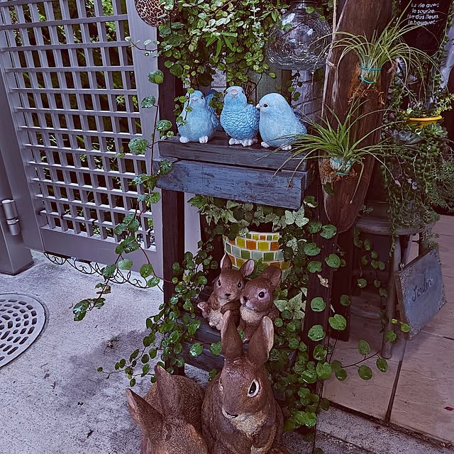 mocomocoさんの部屋