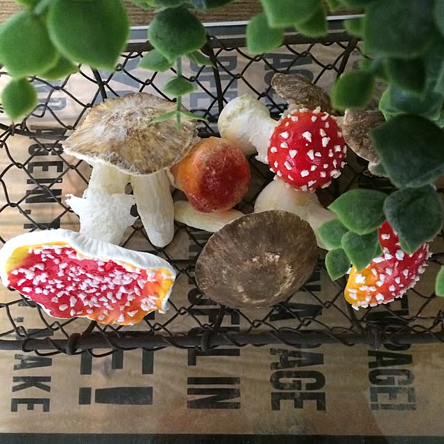 natulove0418さんの実例写真