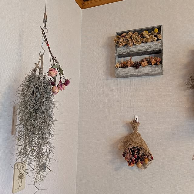 botanさんの部屋