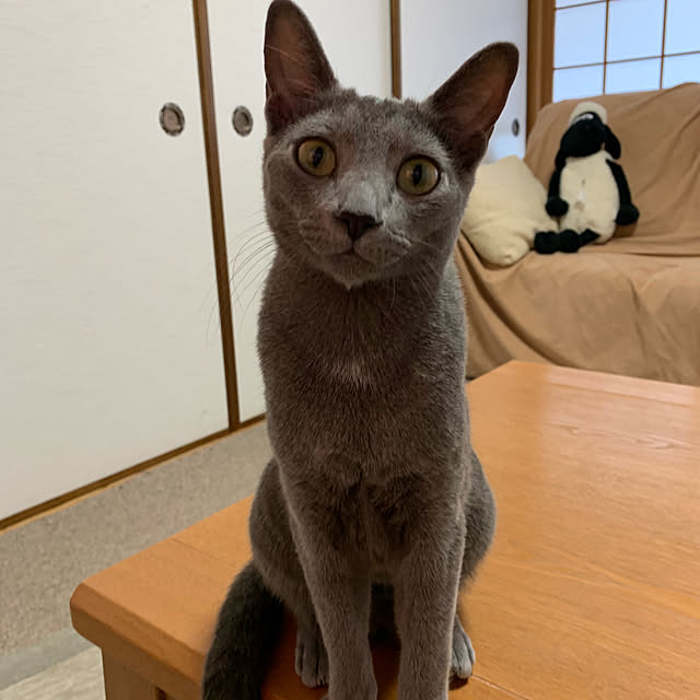 nonさんの実例写真