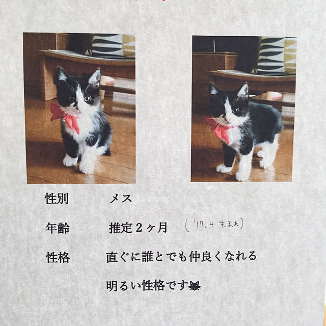 Luna_Lumiere_candleさんの部屋