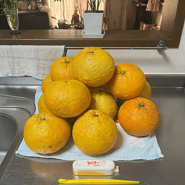 ritsukoさんの実例写真