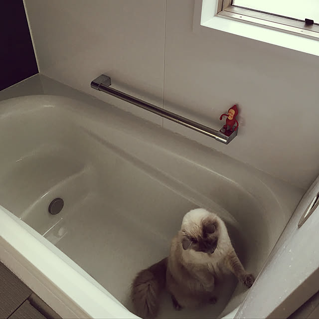 Nyanyaさんの実例写真