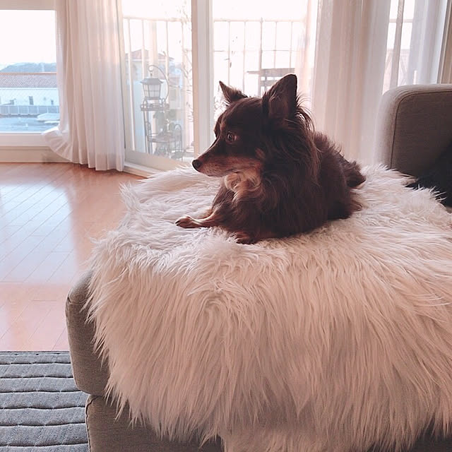 Chaso.さんの実例写真