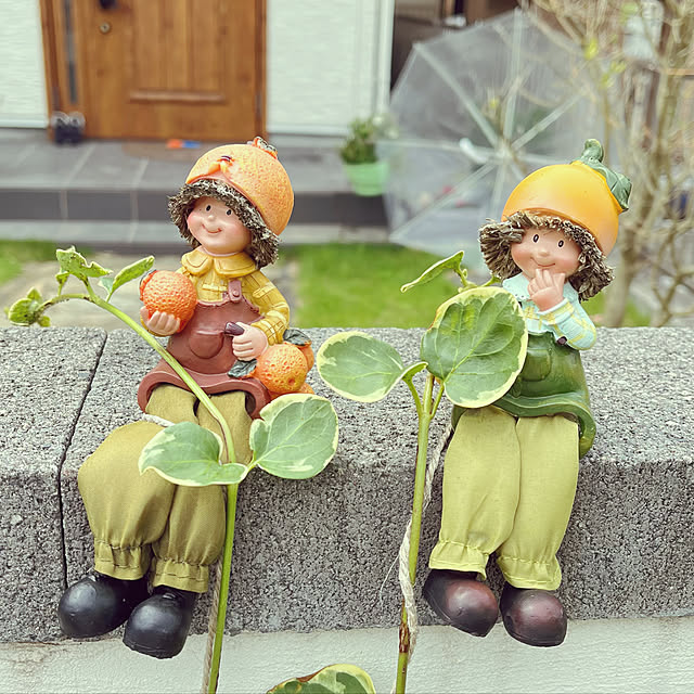siosai10さんの実例写真