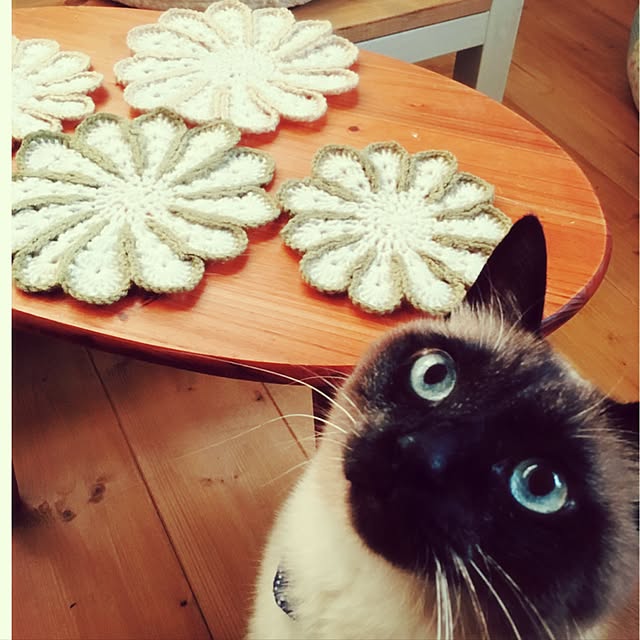 mintcatさんの実例写真