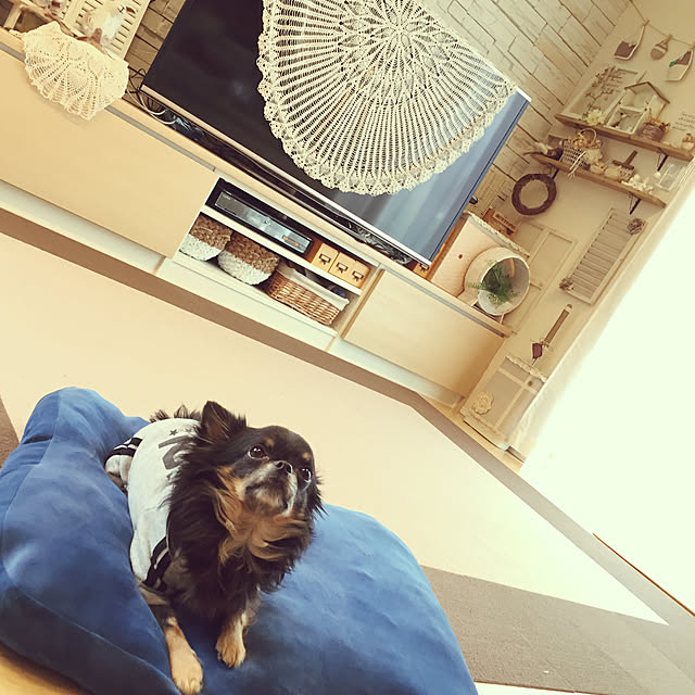 mamakoさんの実例写真