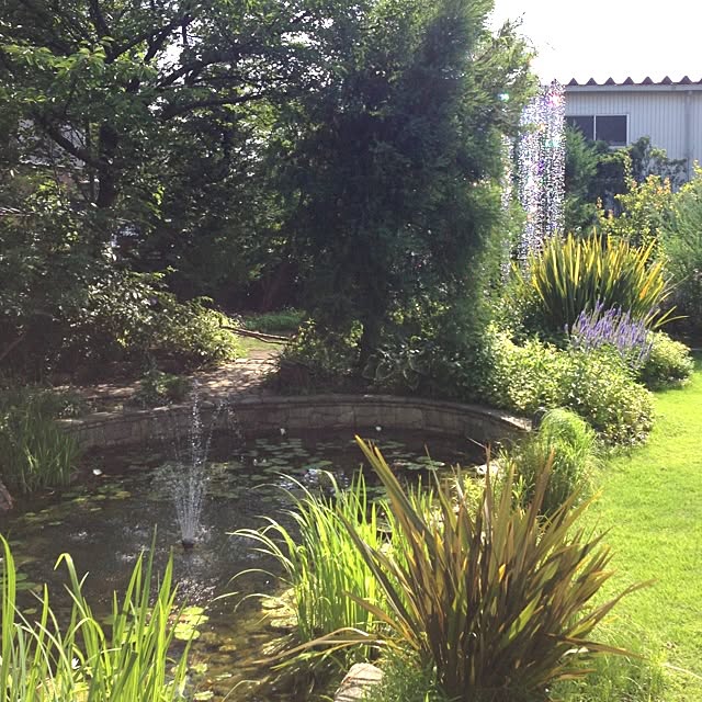 toshiさんの実例写真